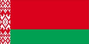 Флаг республики Беларусь (с 1991 года)